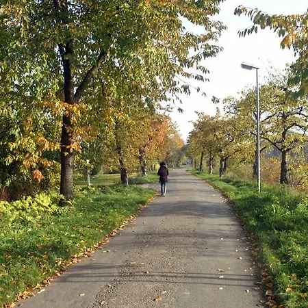 Ankerplatz Twielenfleth Im Altes Land