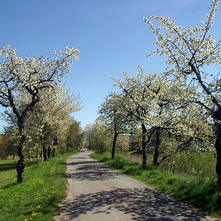 Ankerplatz Im Altes Land * Hollern-Twielenfleth