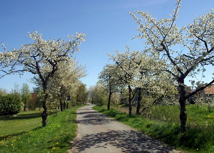 Ankerplatz Im Altes Land * Hollern-Twielenfleth